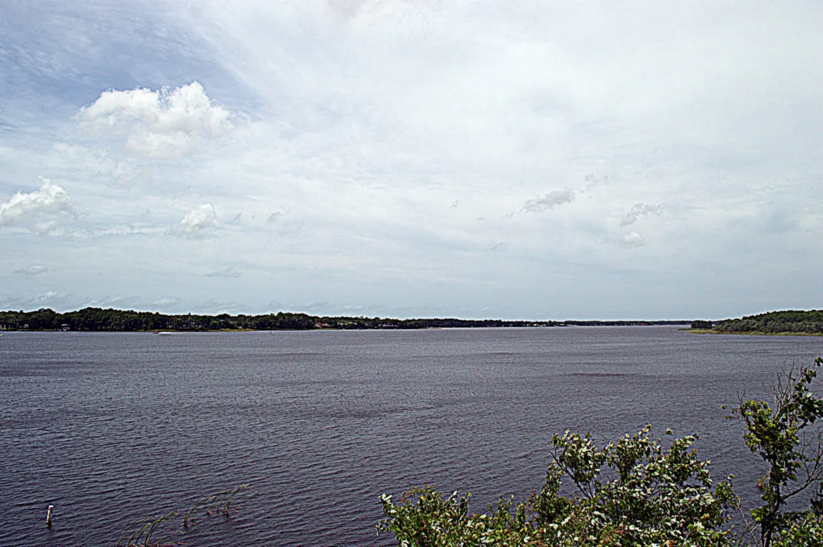 Lake Tarpon view from the lookout tower at John Chestnut Park in Pinellas County, Florida.