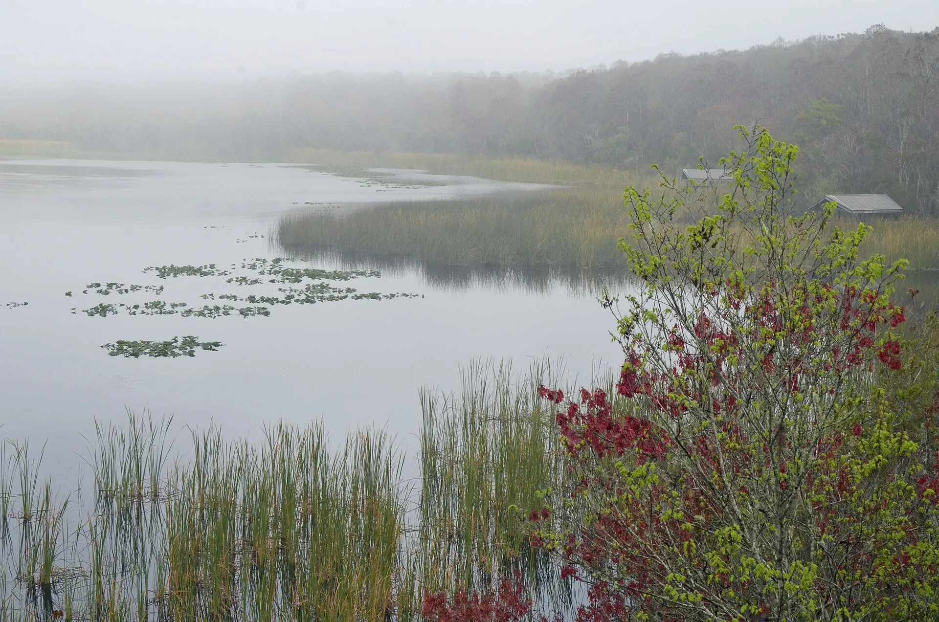John Chestnut Park is located along the shore of Lake Tarpon in Pinellas County, Florida.