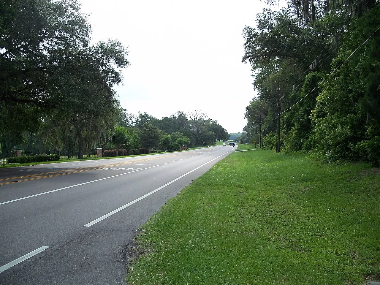 St. Leo: Looking east along SR 52, from in front of the St. Leo town hall.