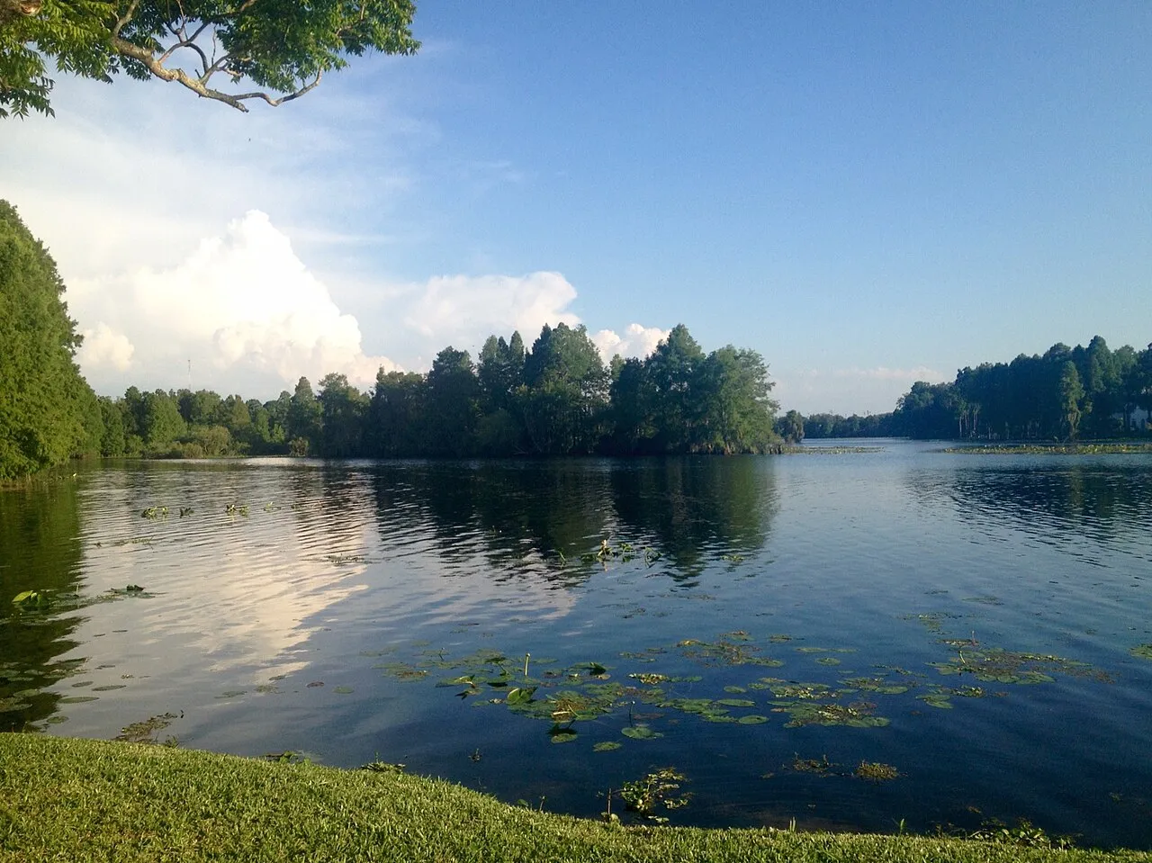 Hillsborough River at Riverhills Park, Temple Terrace.