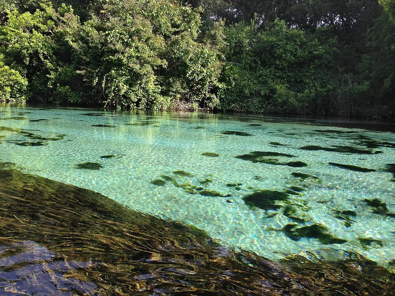 Picture of the Weeki Wachee River in the Weeki Wachee Springs State Park.