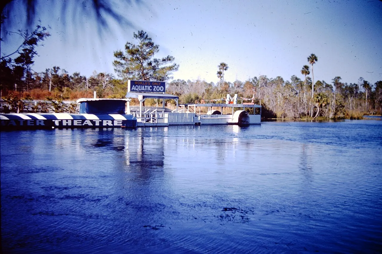 slide photo of Weeki Wachee Springs taken by my Dad sometime in the 1950s.