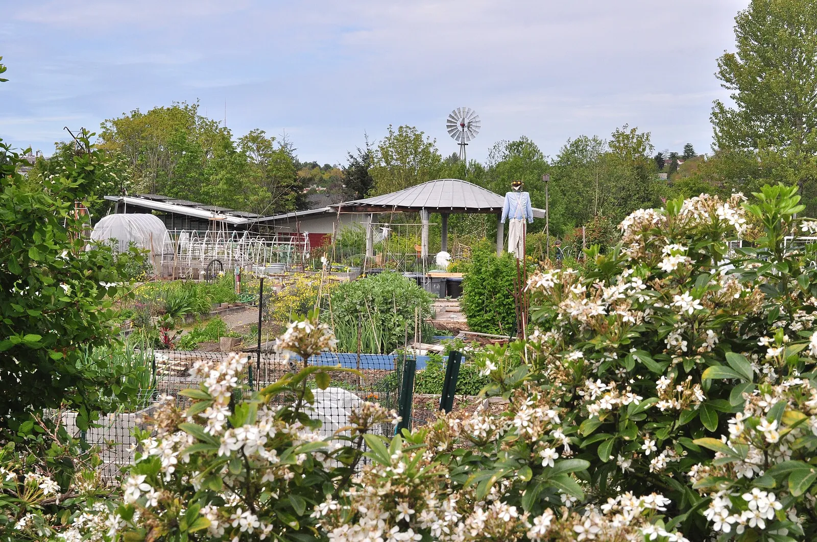 Bradner Gardens Park 02.