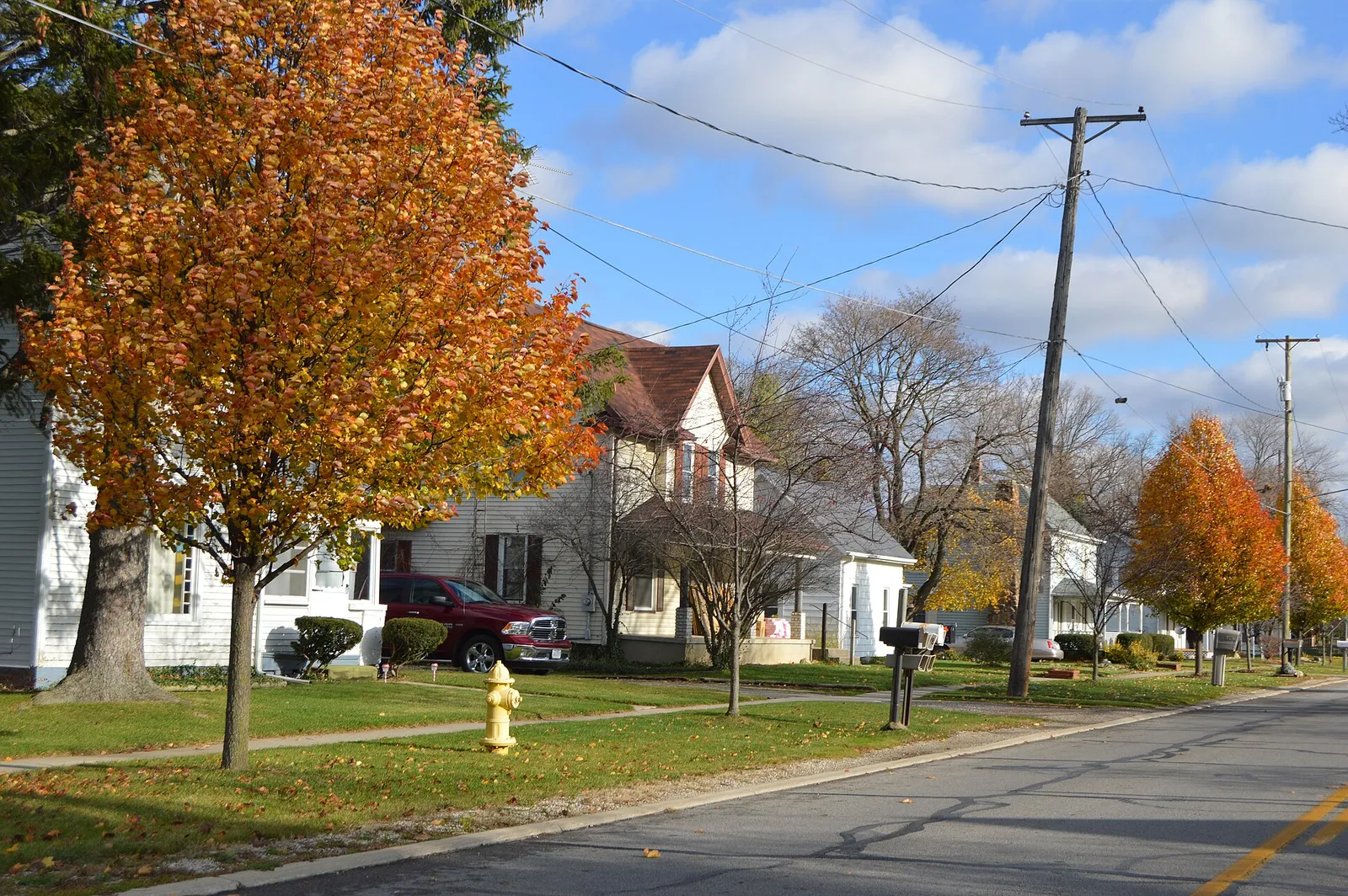 Maple east of Swanton, Metamora.