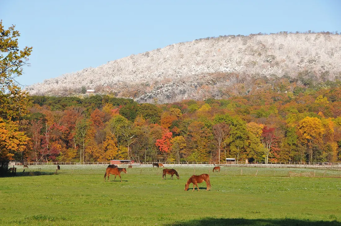This photo of Catoctin Mountain shows an early snowfall above a peaceful horse pasture.