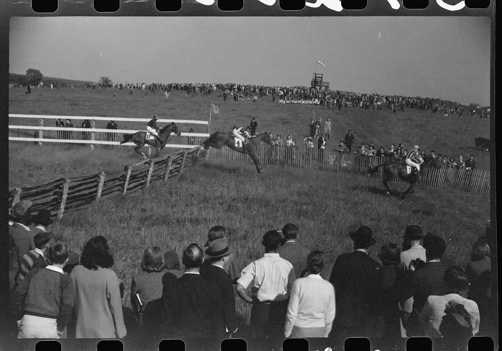 1941 Virginia Gold Cup races (Warrenton, VA)